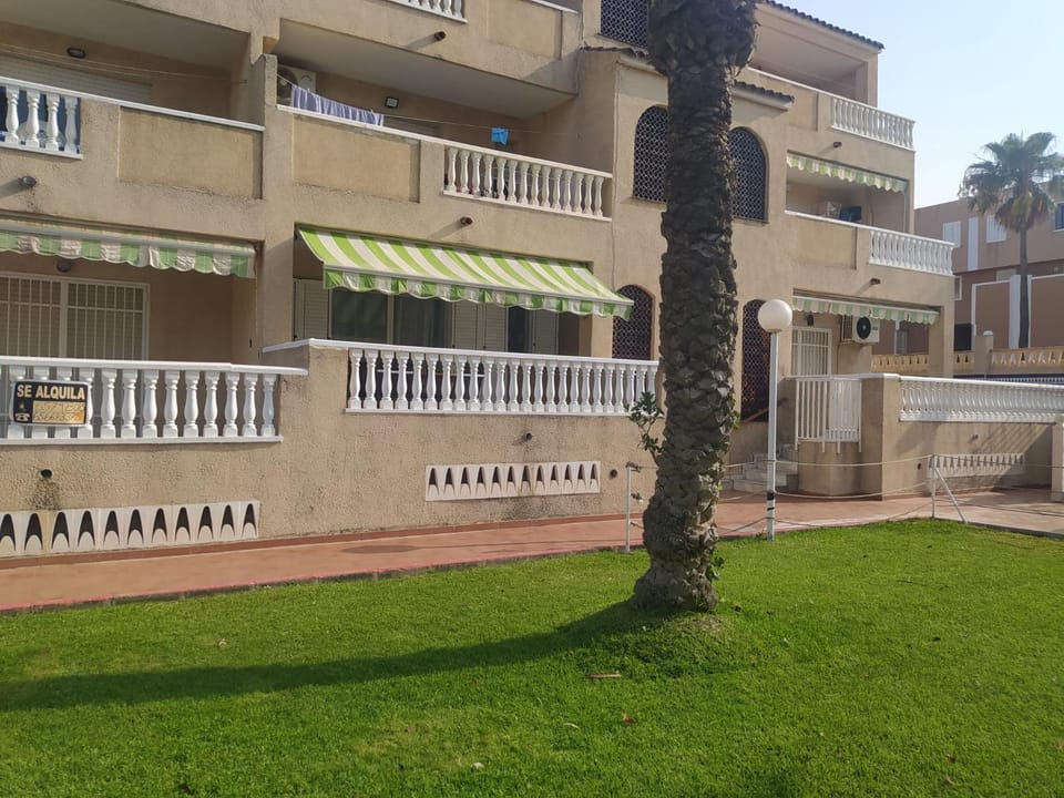 Property building, Patio, Spring, Day, View (from property/room), Garden view