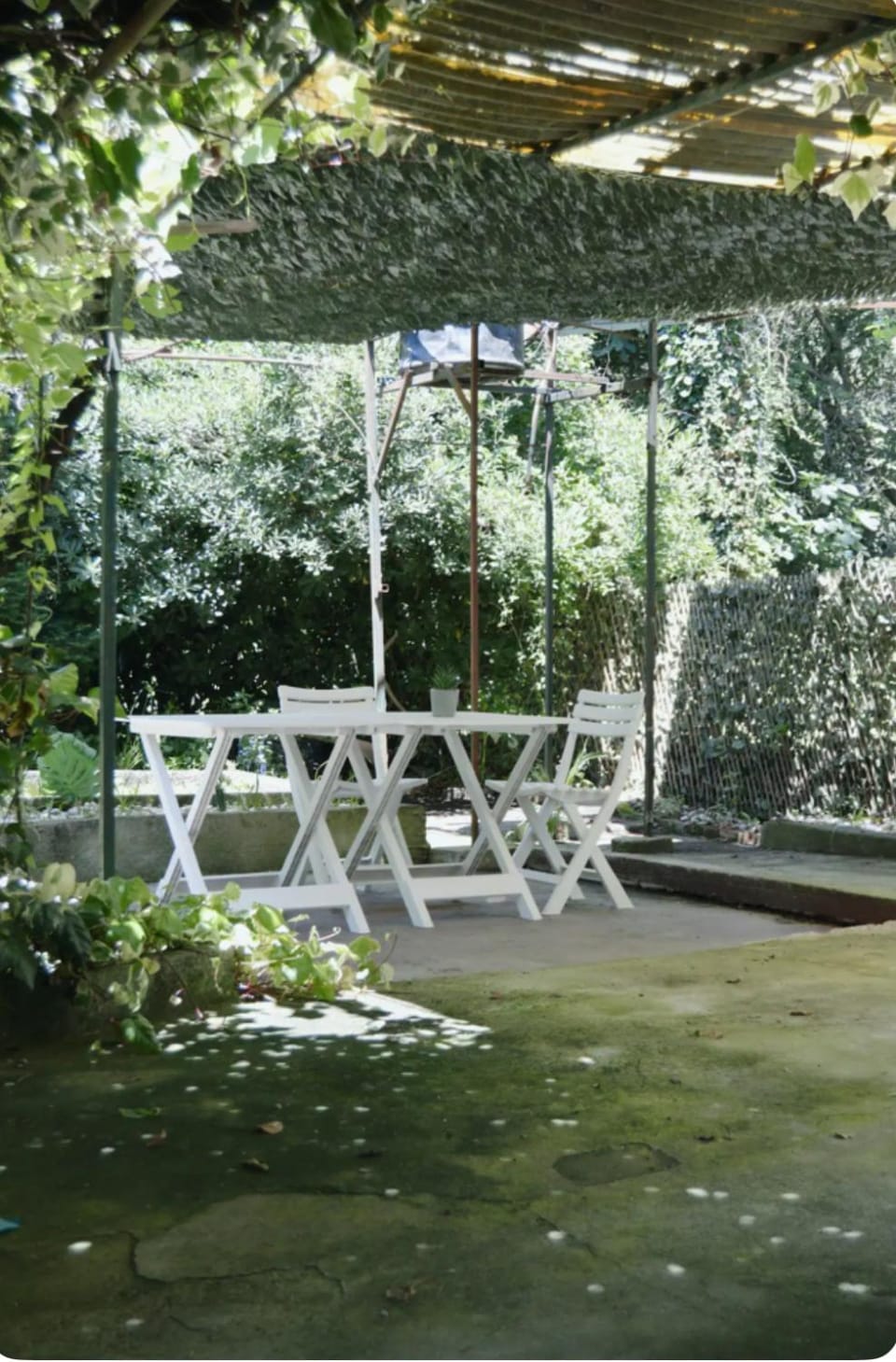 Herceg Novi Seaside Retreat with Serene Garden Apartment in Kotor Municipality