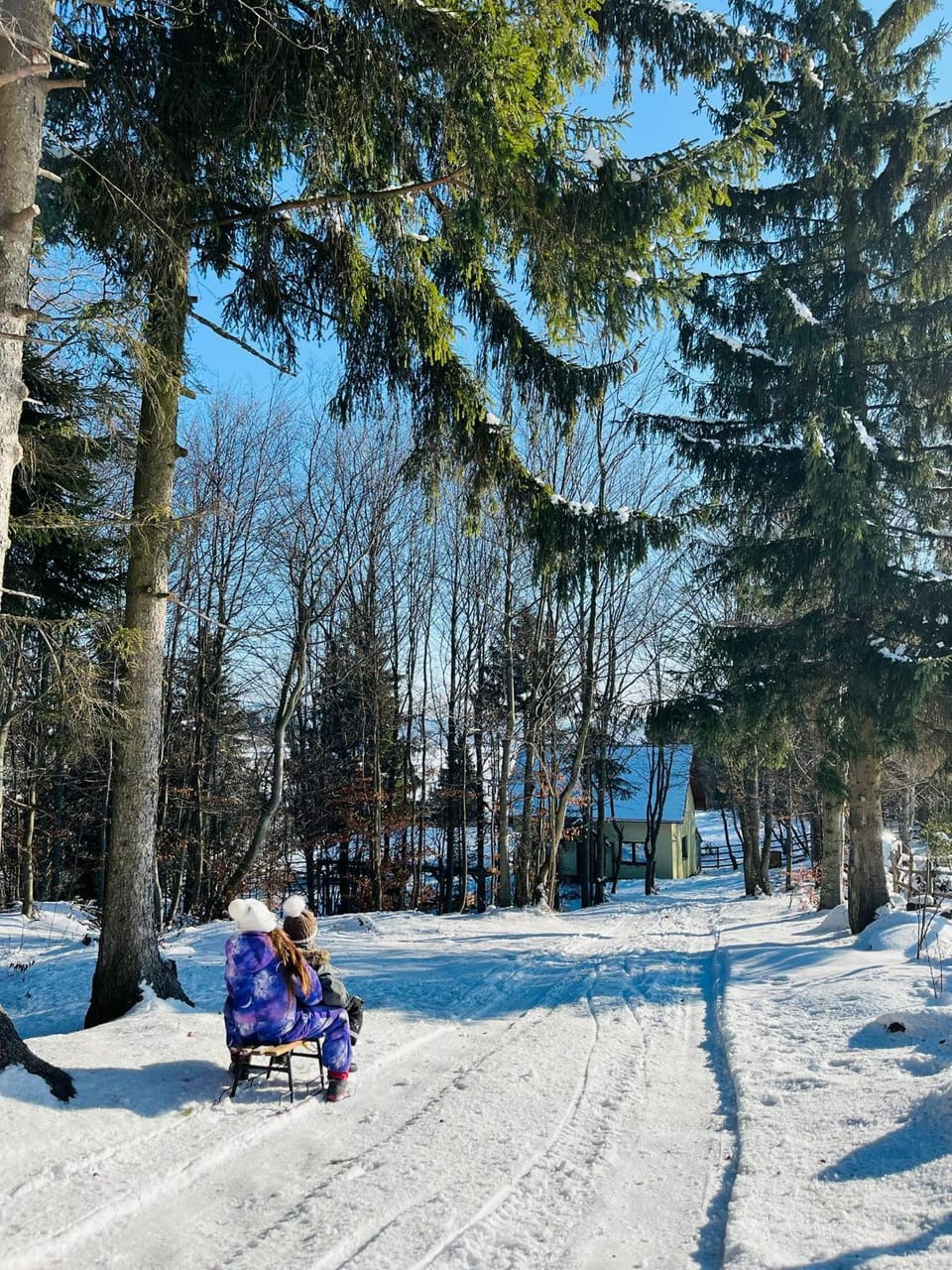 Natural landscape, Winter