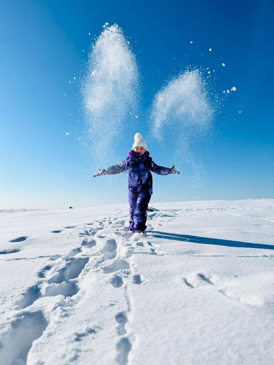 Natural landscape, Winter, Guests