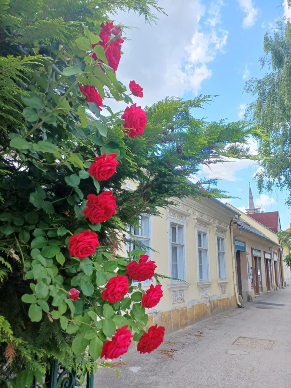 Neighbourhood, Street view