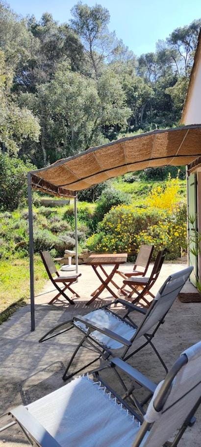 Patio, Natural landscape, sunbed