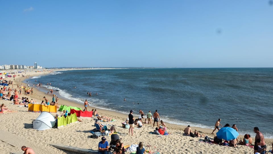 People, Summer, Beach, Sea view, children