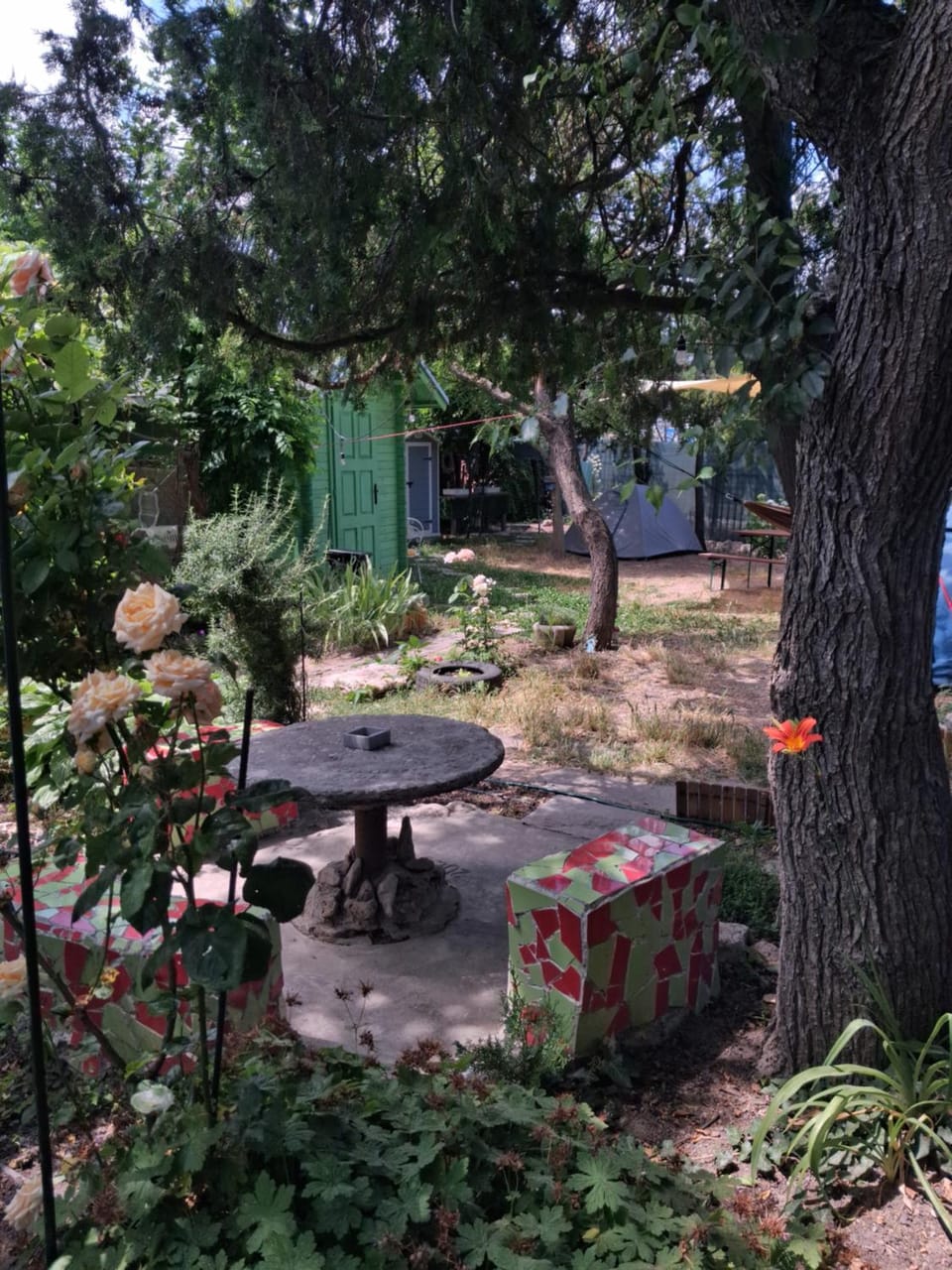 Day, Garden