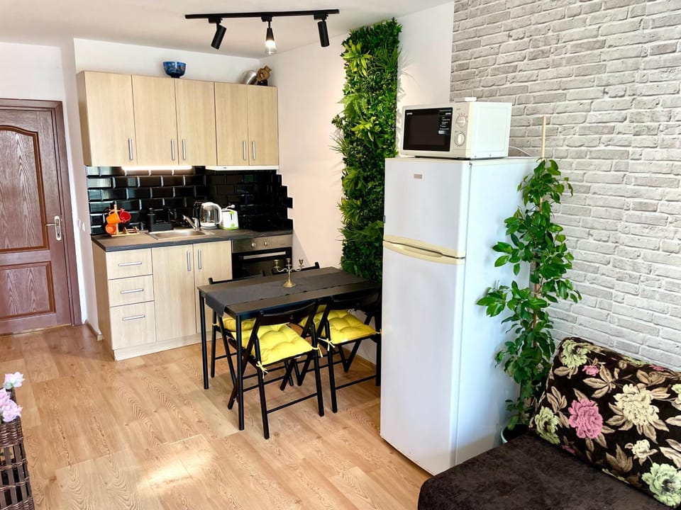Kitchen or kitchenette, Living room, Dining area, oven, stove