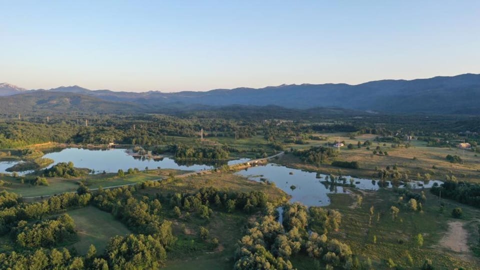 Lake view