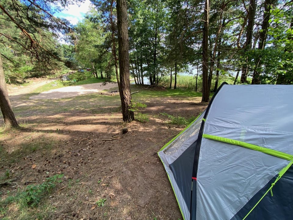 Property building, Natural landscape, Beach