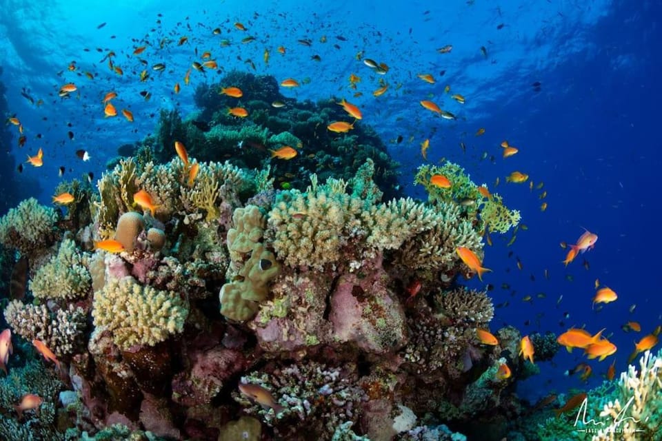 Masra Allam, Egypt - Hotel Apartment Apartment in Red Sea Governorate