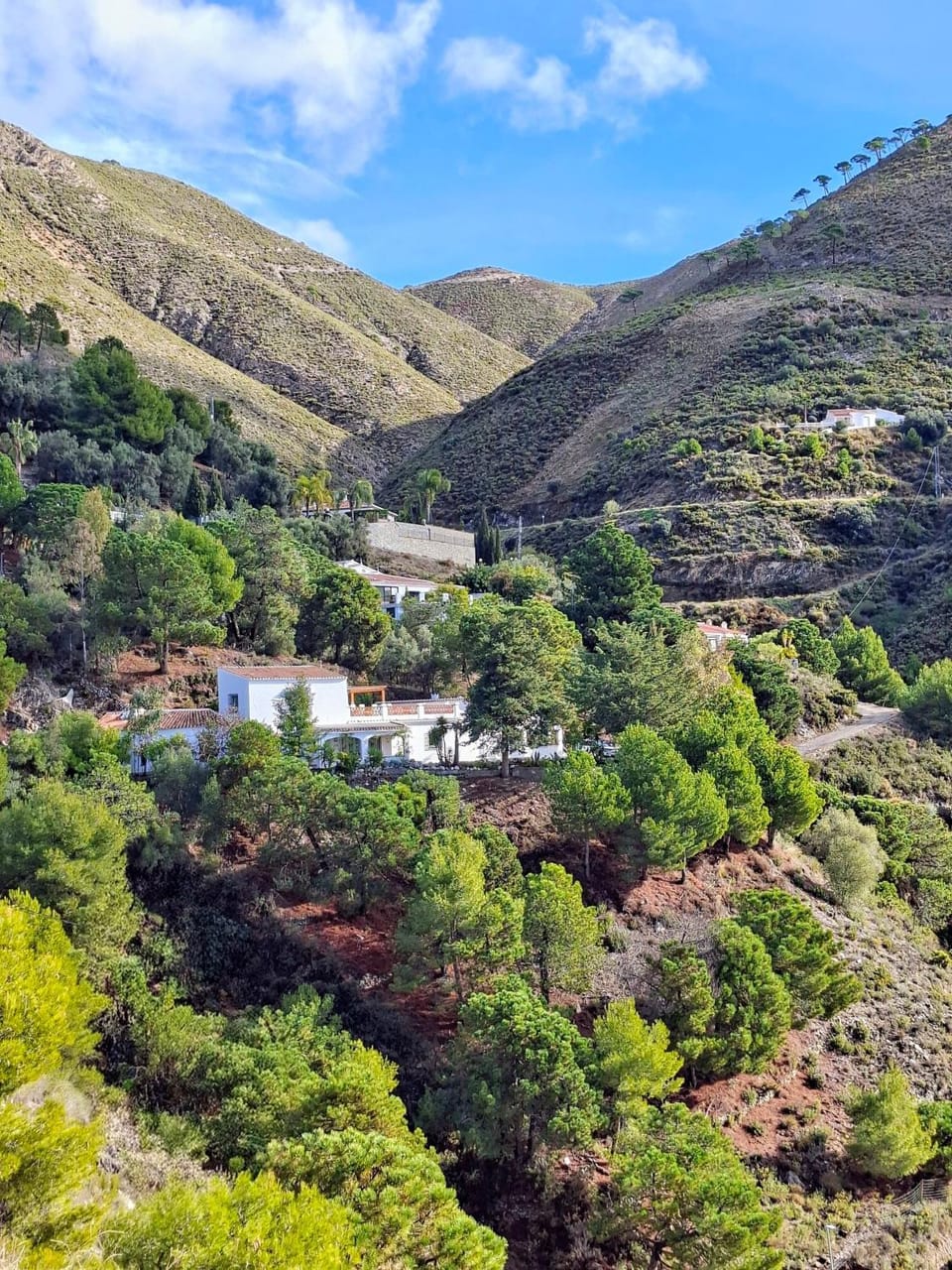 Casa Rural Las Adelfas House in Axarquía