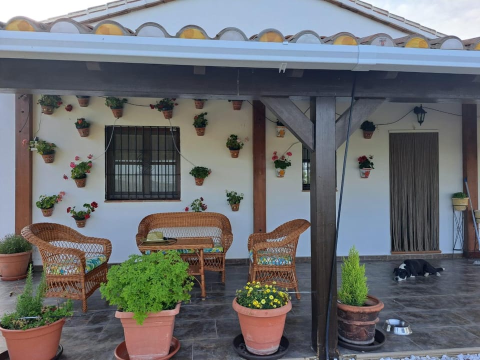 Salvador House in Sierra de las Nieves