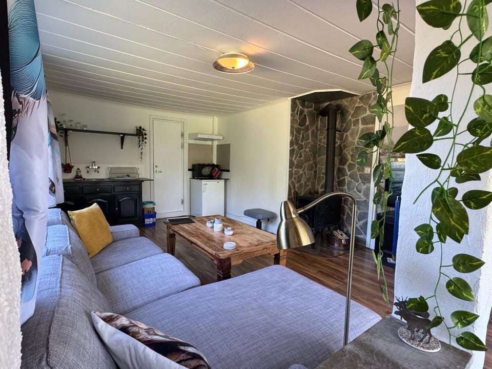 Kitchen or kitchenette, Living room, oven, stove