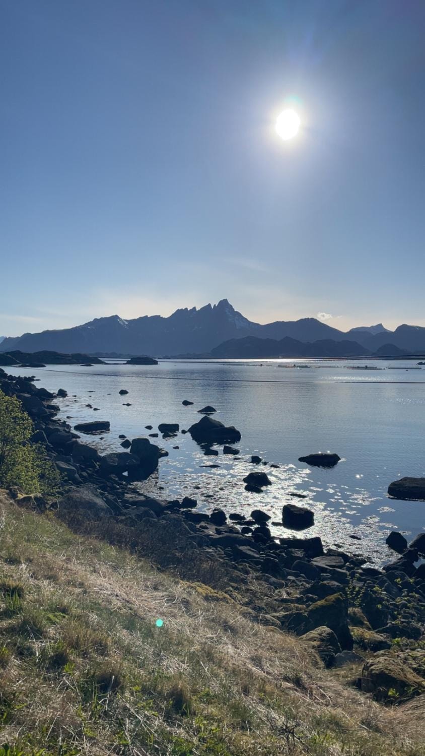 Sommerhus, Edvinstua. House in Lofoten