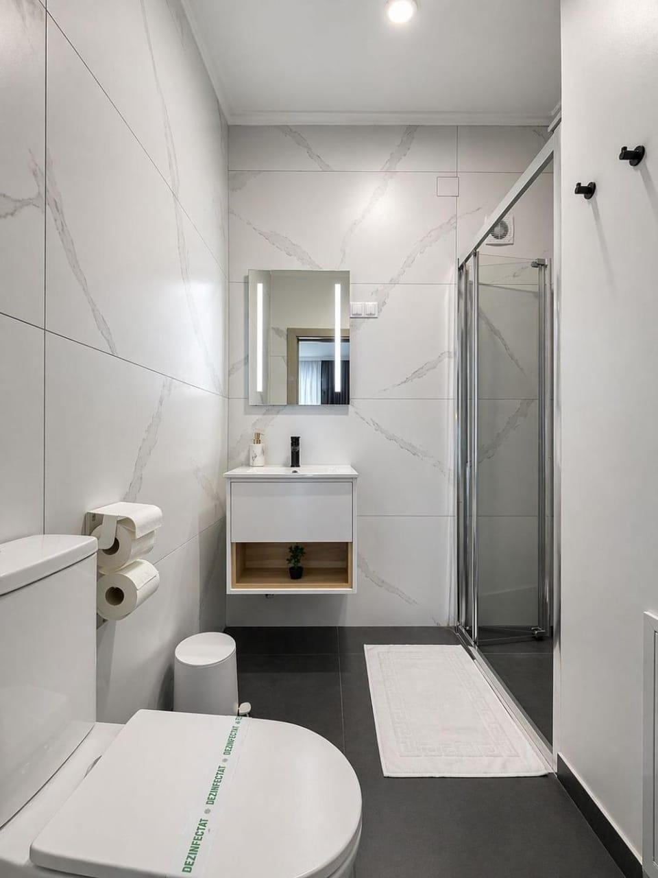 Pensiunea Brici Junior Bed and Breakfast in Cluj-Napoca