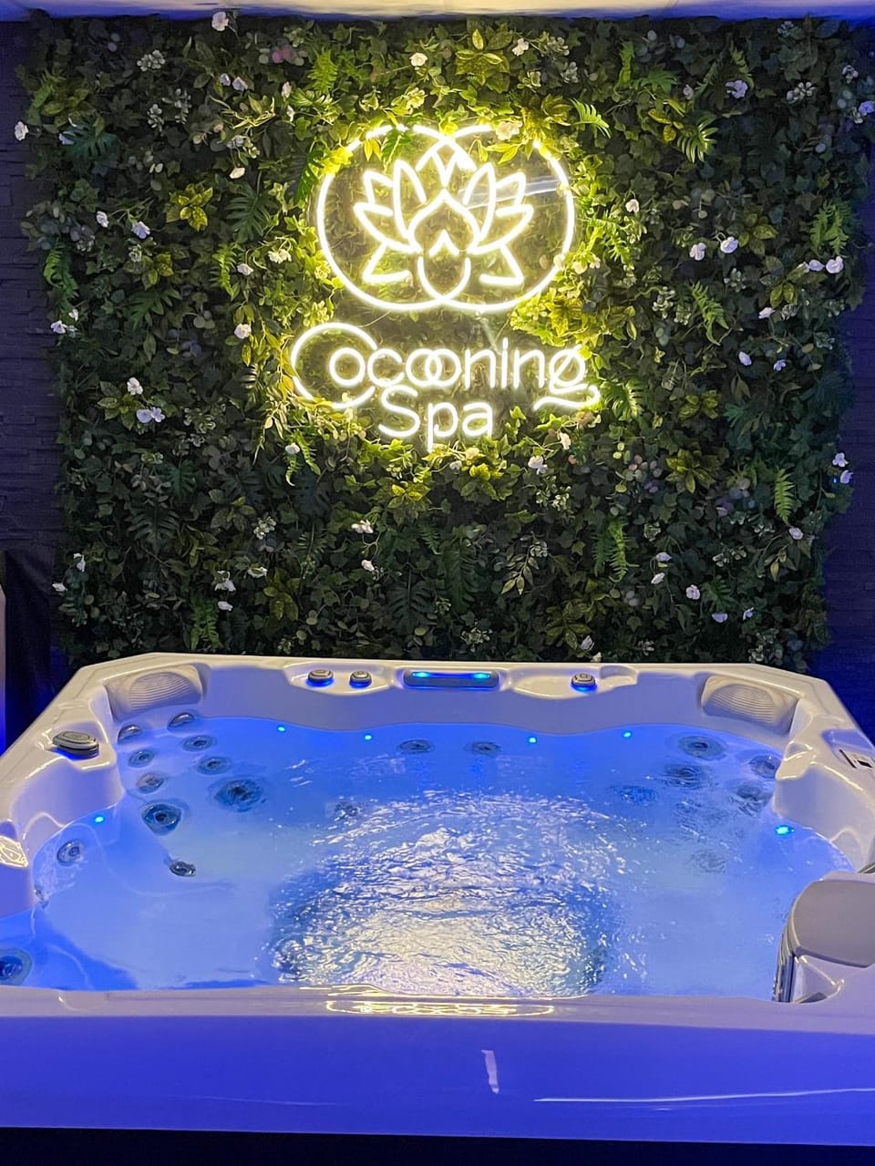 COCOONING SPA - Gîte avec piscine, jacuzzi, sauna House in Hauts-de-France