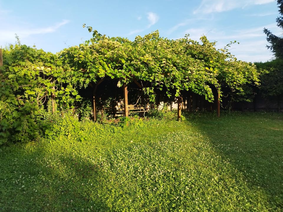 RIVER side - cosy - lot of space Apartment in Weil am Rhein