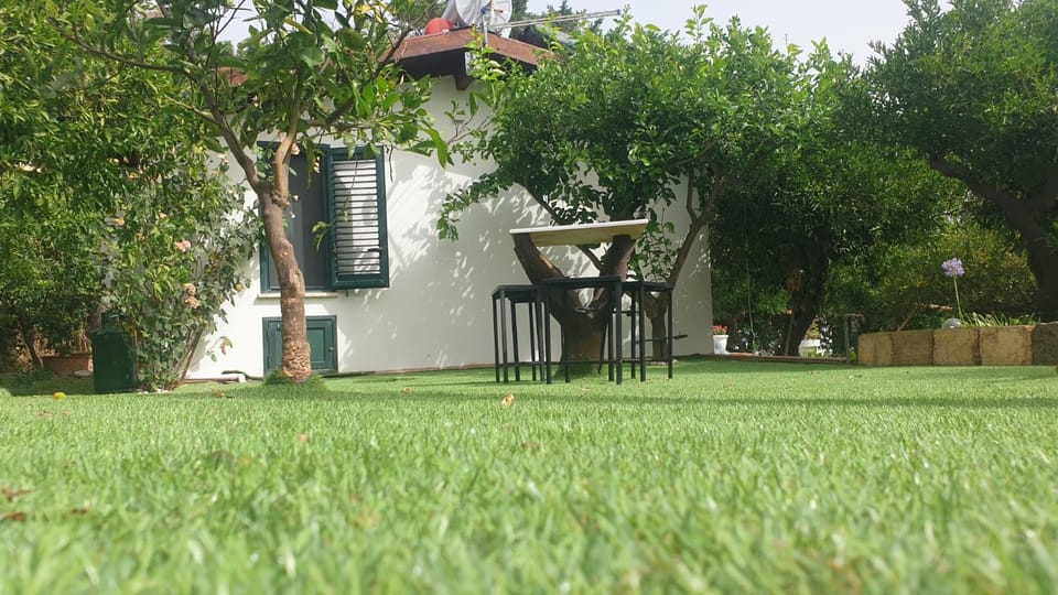 Garden, Garden view