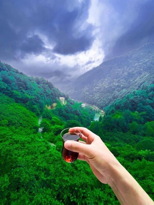 Natural landscape, Mountain view
