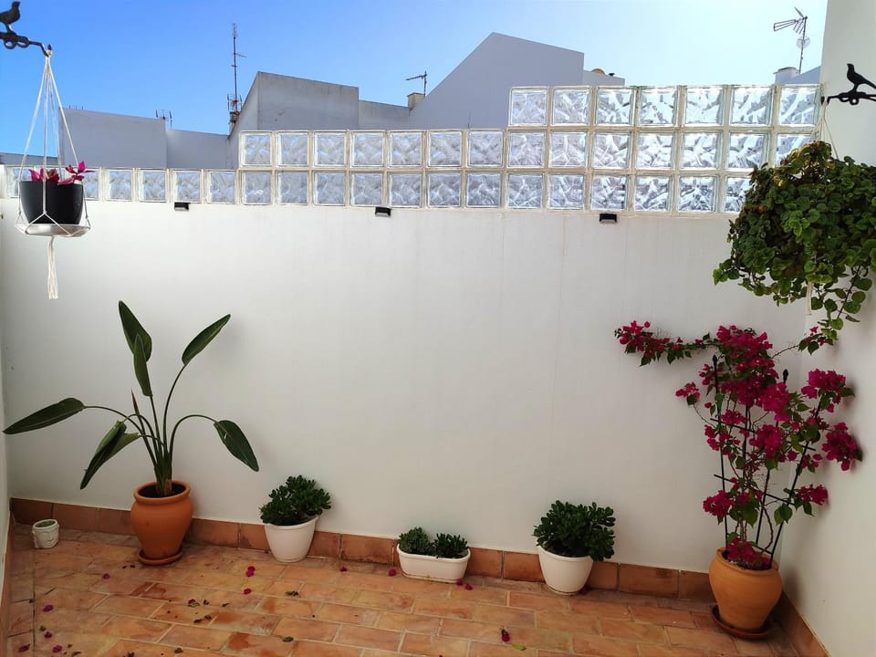 Inner courtyard view