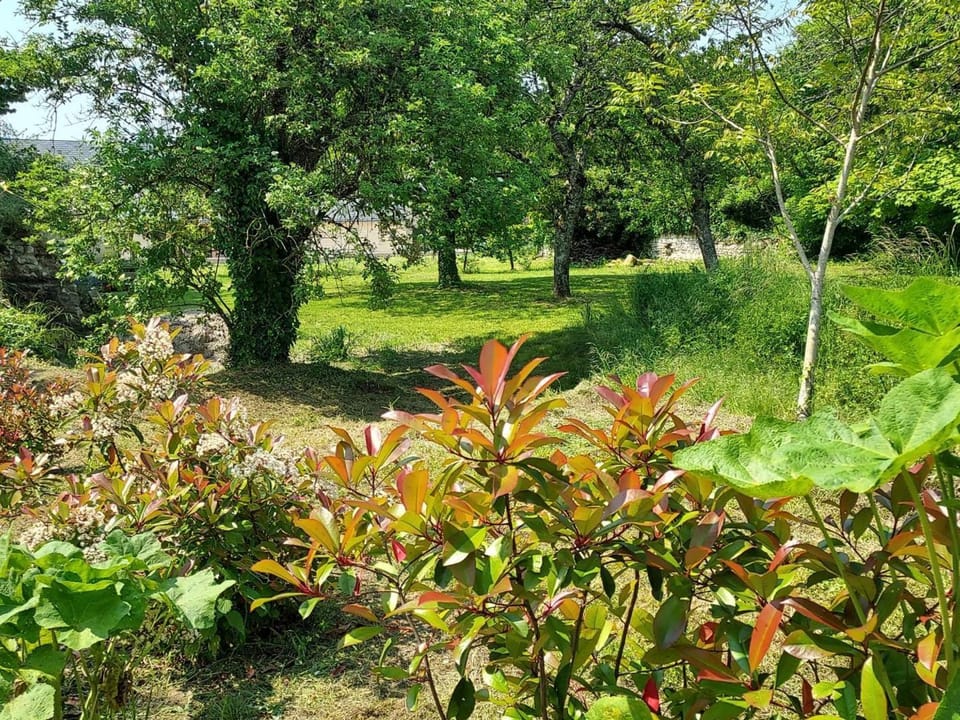 Gîte de charme avec jardin au cœur des châteaux, WiFi, parking inclus - FR-1-381-543 House in Centre-Val de Loire