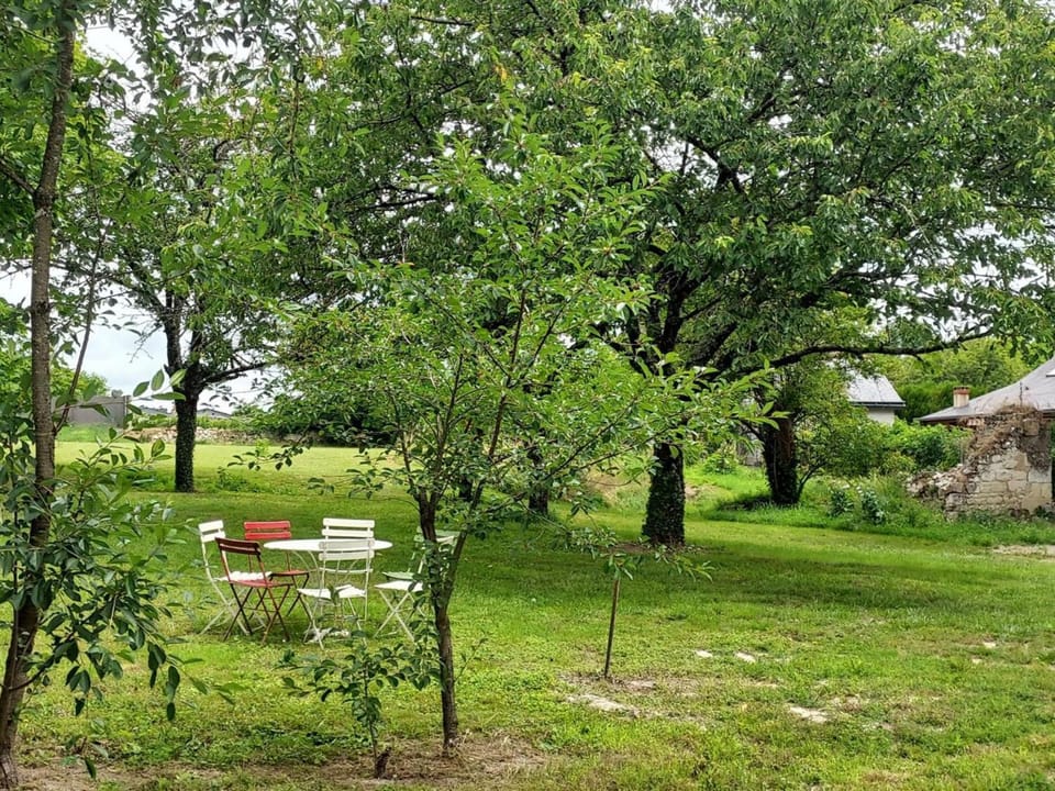 Gîte de charme avec jardin au cœur des châteaux, WiFi, parking inclus - FR-1-381-543 House in Centre-Val de Loire