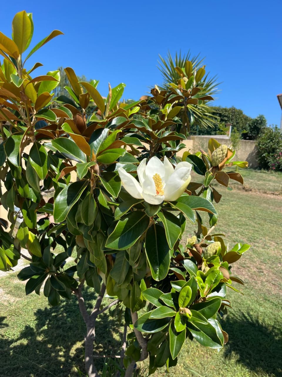 Villa Héliopolis Bed and Breakfast in Ventiseri