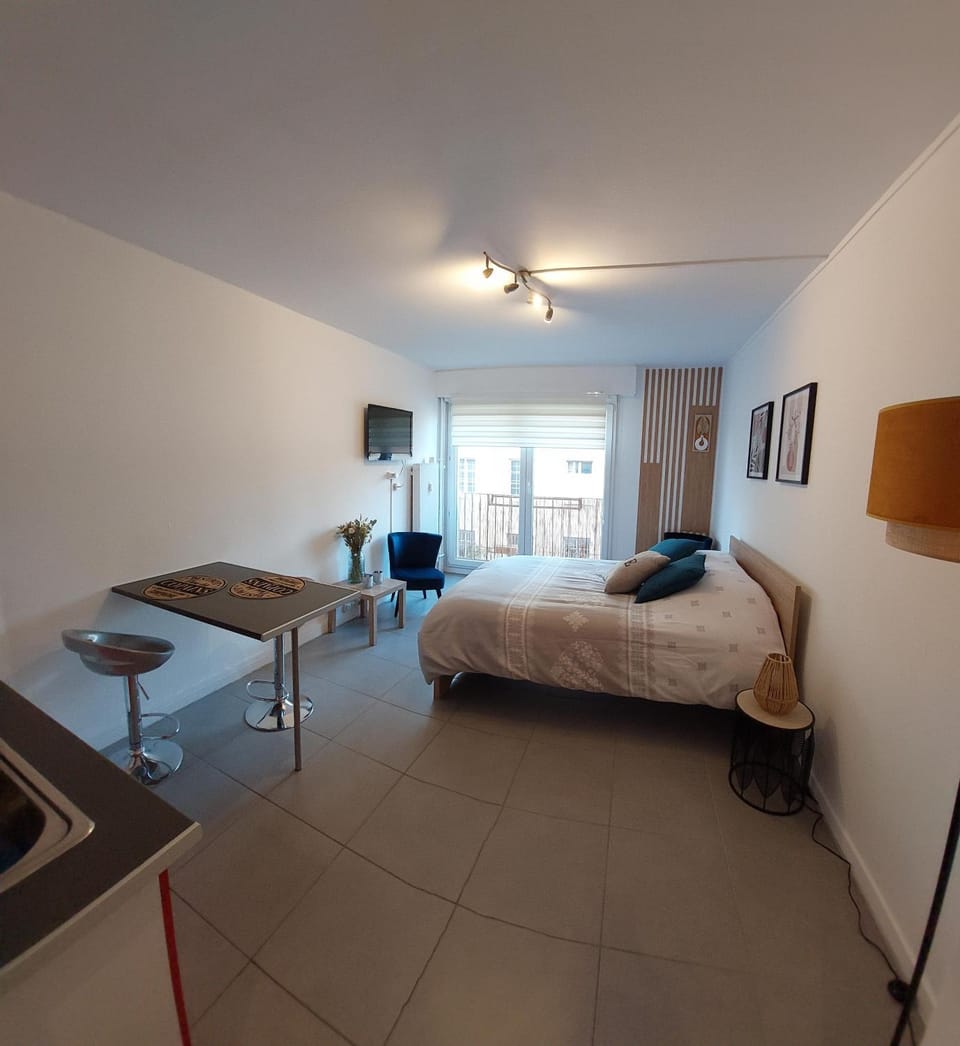 studio vieille ville Apartment in Nancy