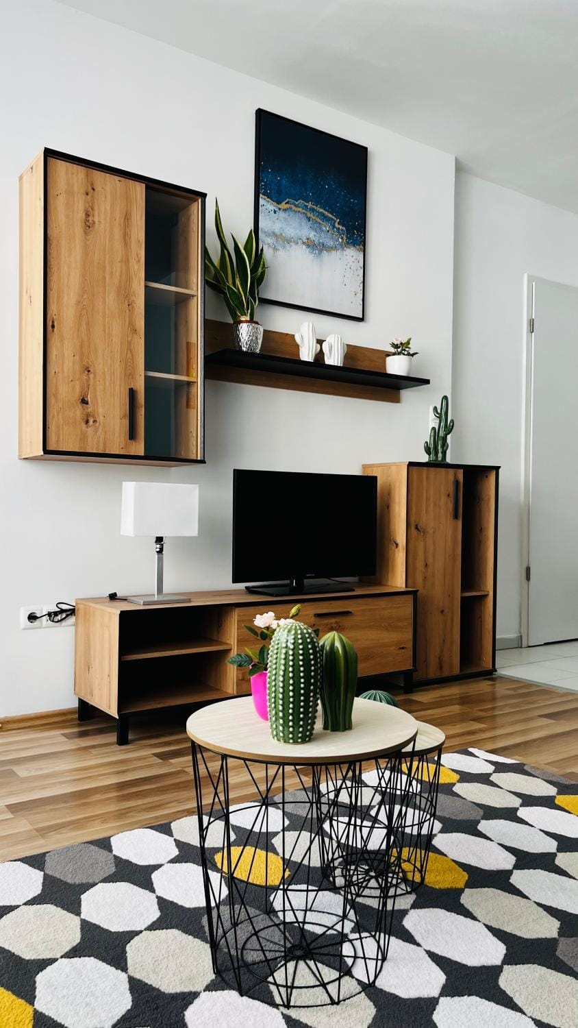 TV and multimedia