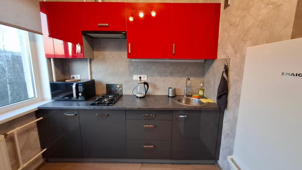 Julias Apartments Riga, 3x rooms Apartment in Riga