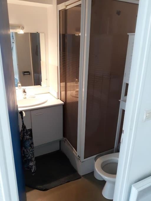 Studio au cœur des Minimes à La Rochelle Apartment in La Rochelle