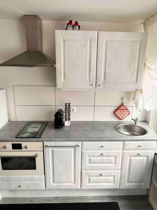 Kitchen or kitchenette, dishwasher, minibar, pet friendly, stove