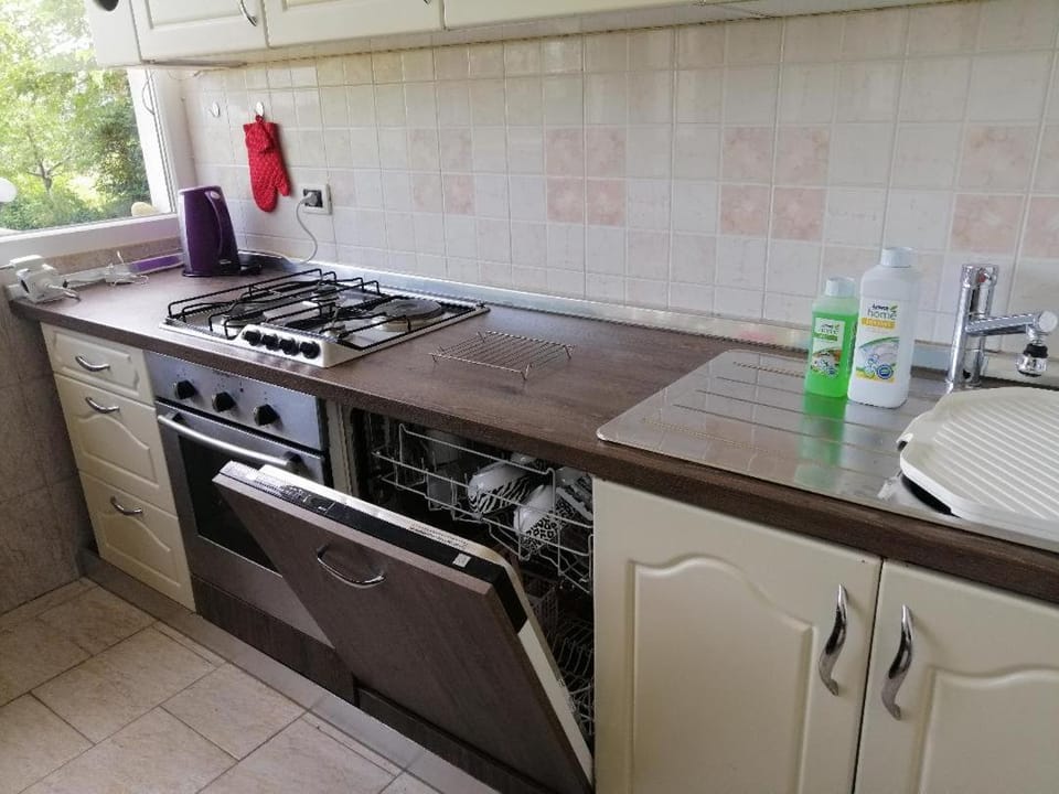 Kitchen or kitchenette, dishwasher, pet friendly, stove