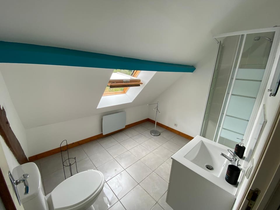 Shower, Toilet, Bathroom