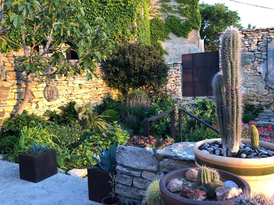 Spring, Day, Natural landscape, Garden, Garden view