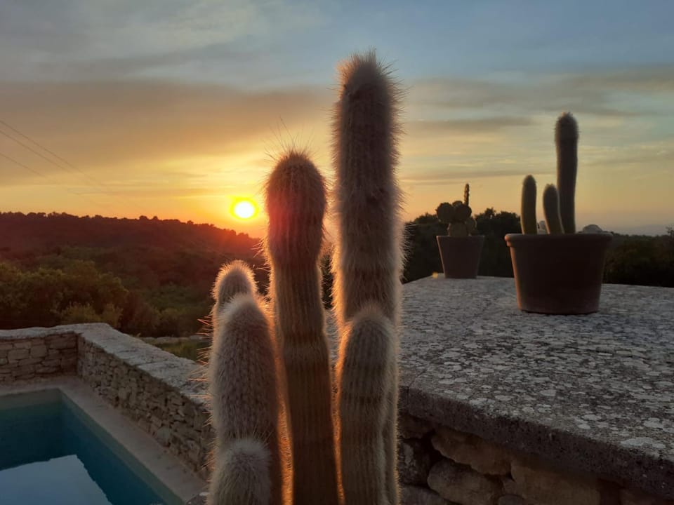 Natural landscape, View (from property/room), Pool view, Sunset