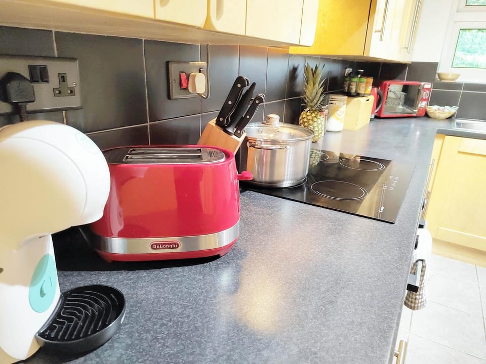 Coffee/tea facilities, Kitchen or kitchenette, minibar, pet friendly, stove, toaster