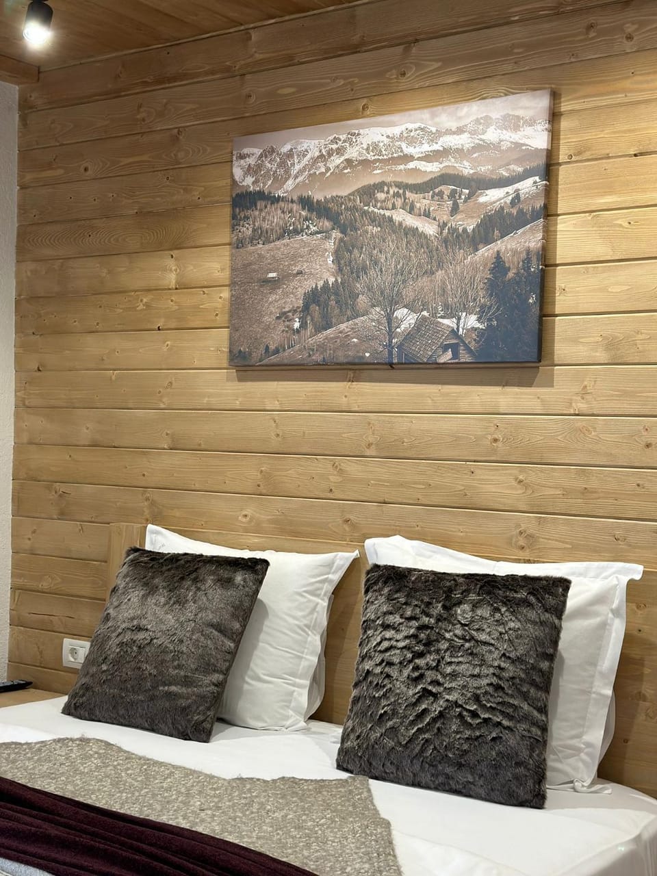 Pensiunea Rodica Bed and Breakfast in Brașov County