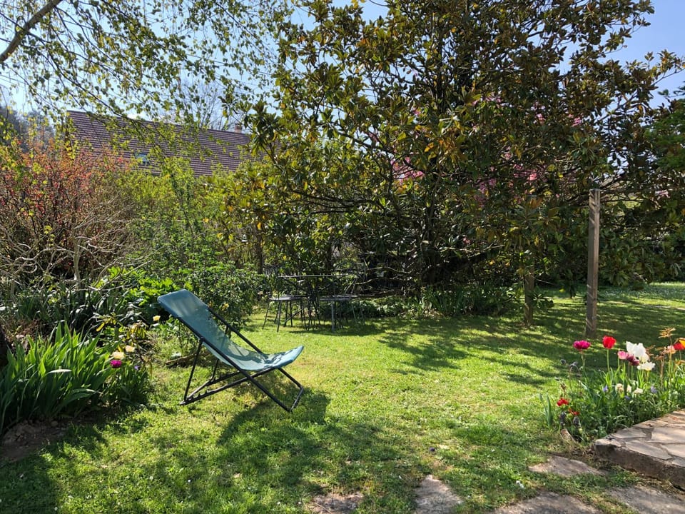 Property building, Garden, Garden view, sunbed