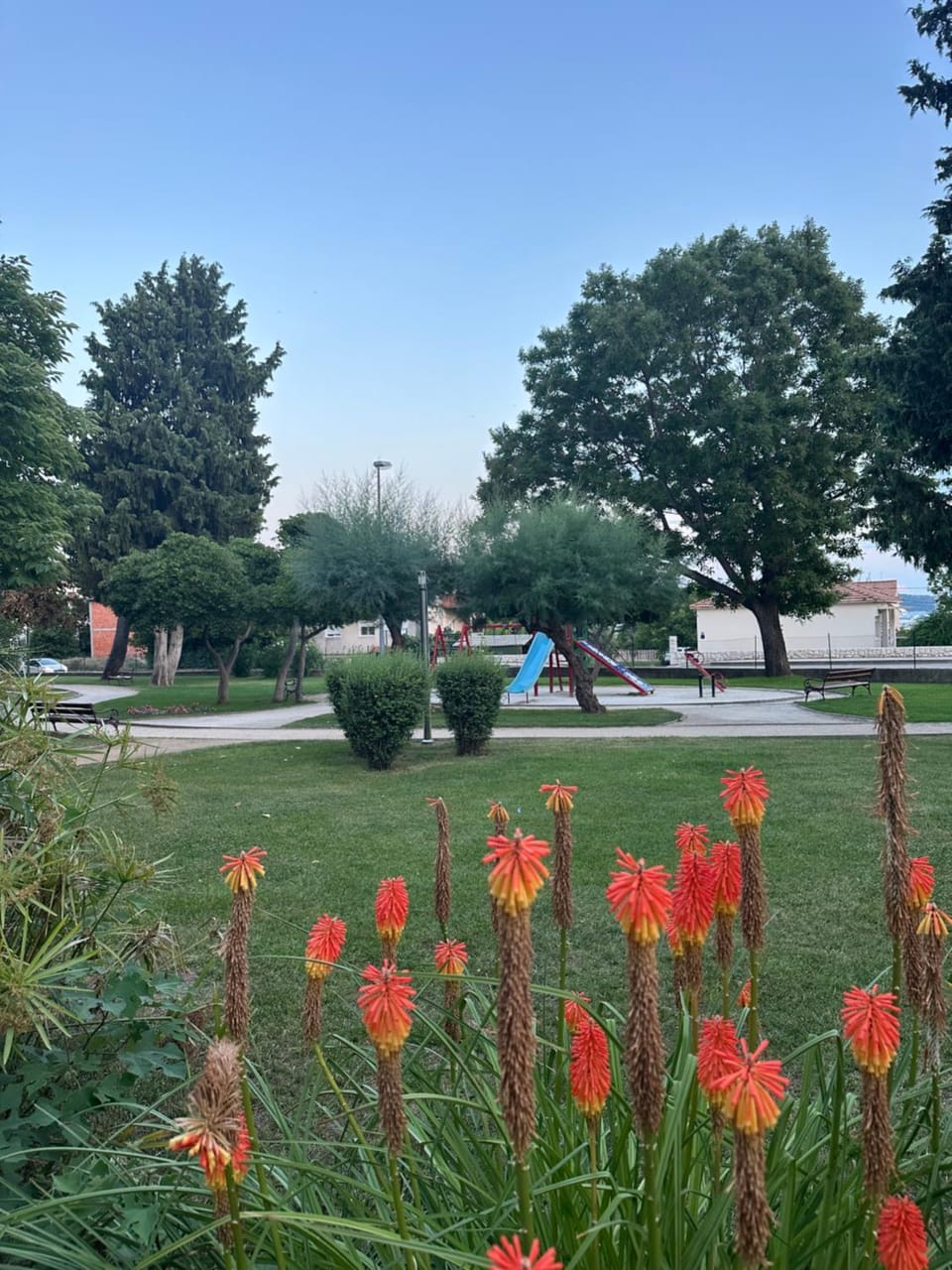 Garden view