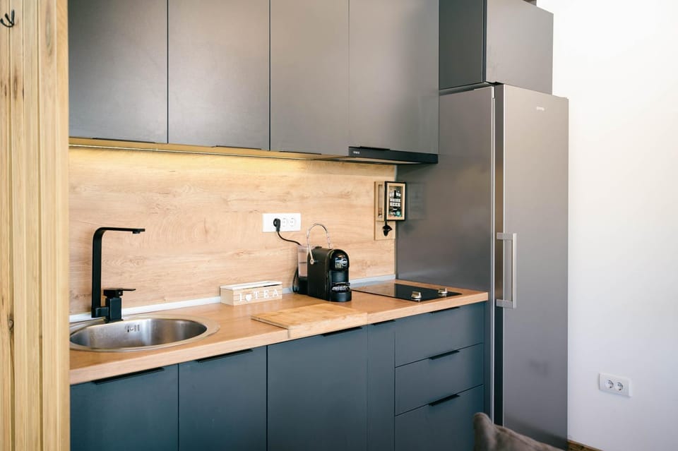 Coffee/tea facilities, Kitchen or kitchenette, minibar, stove, toaster