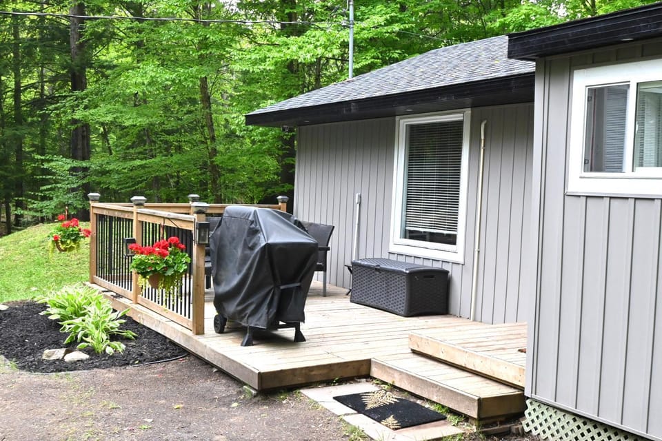 Property building, Patio, BBQ facilities, Garden view