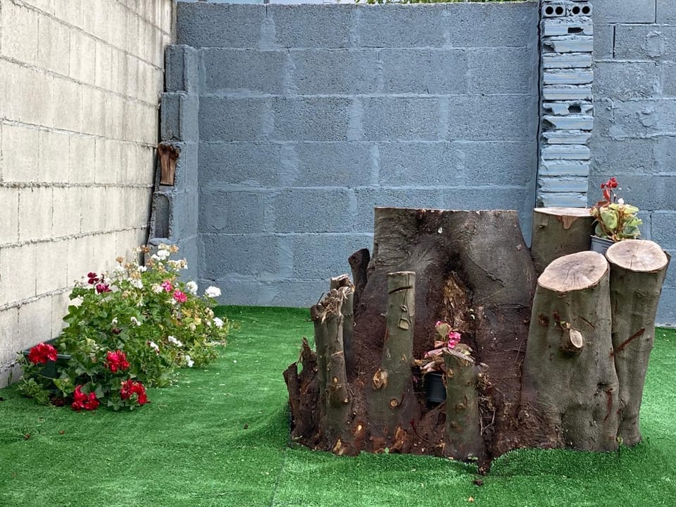 Garden, Garden