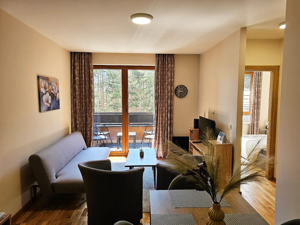 Balcony/Terrace, Living room, Seating area