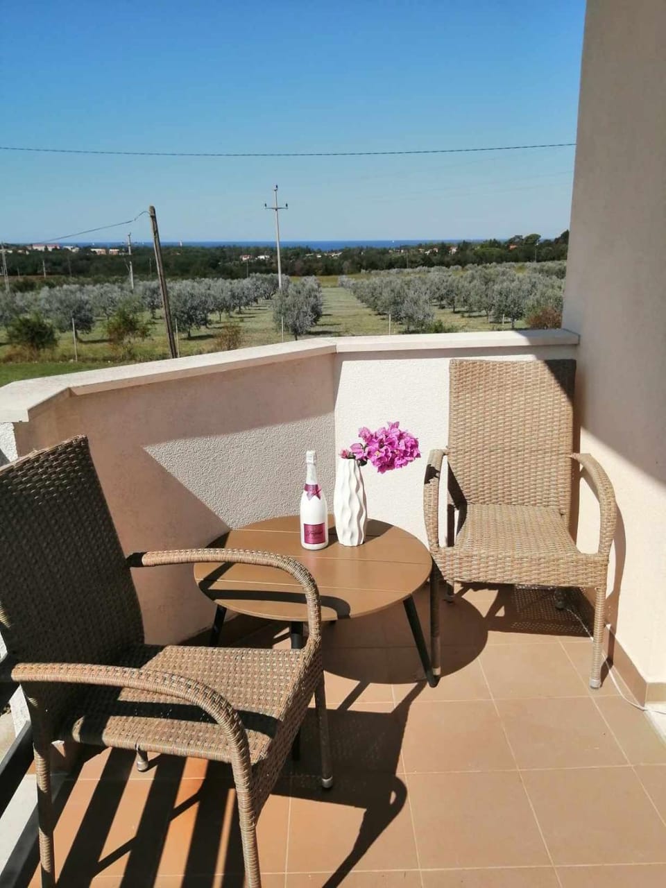Balcony/Terrace, Balcony/Terrace