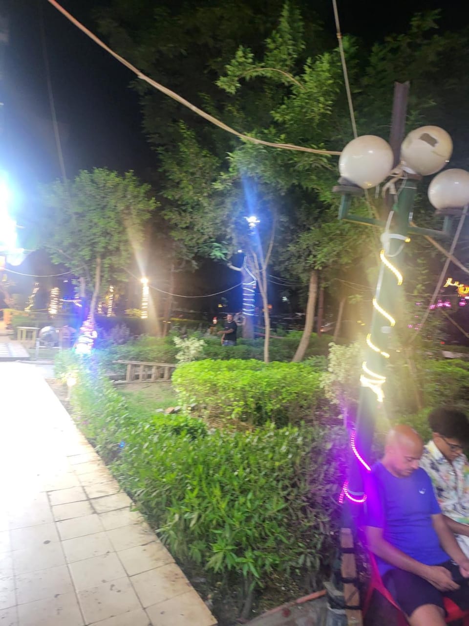 Night, People, Garden, Garden view, group of guests