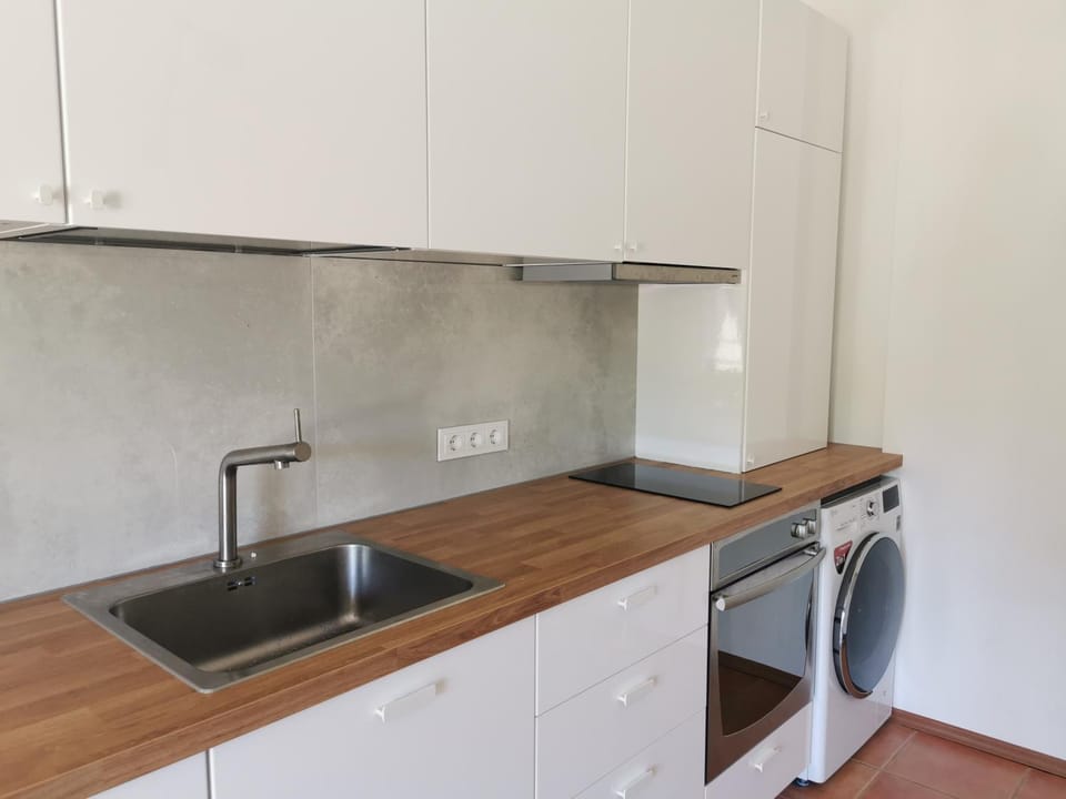 Kitchen or kitchenette, dishwasher, pet friendly, stove