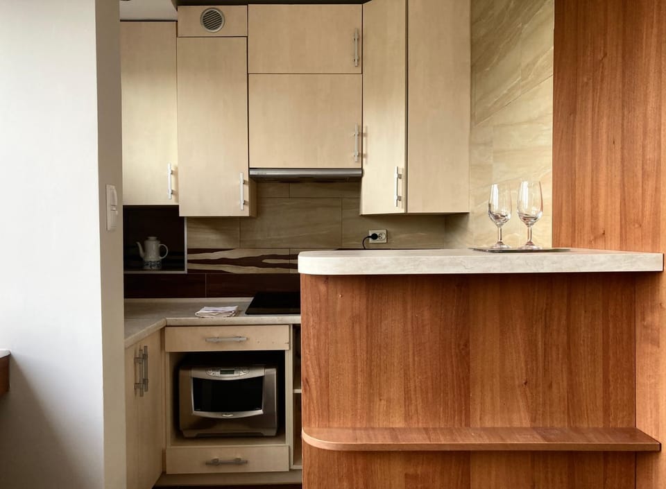 Kitchen or kitchenette, kitchen