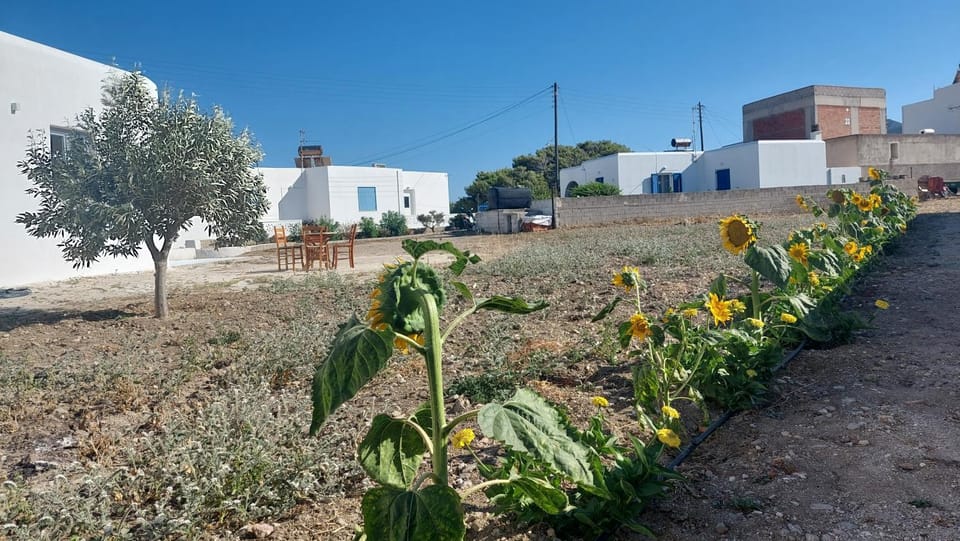 Saint Barbara luxury home House in Paros, Greece
