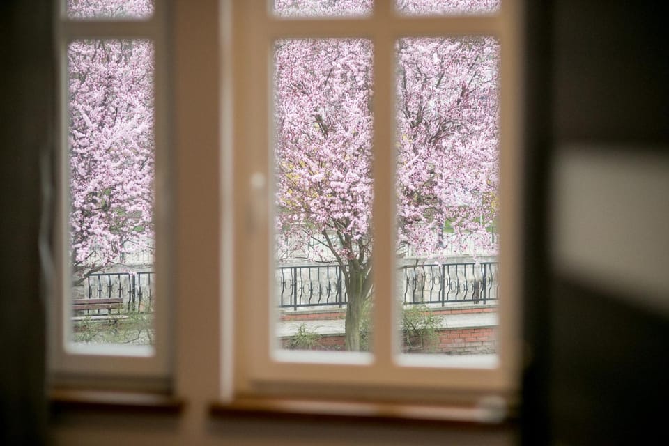 Garden view