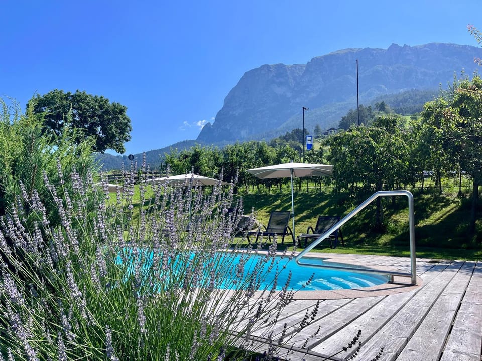 Natural landscape, Mountain view, Pool view, Swimming pool, sunbed