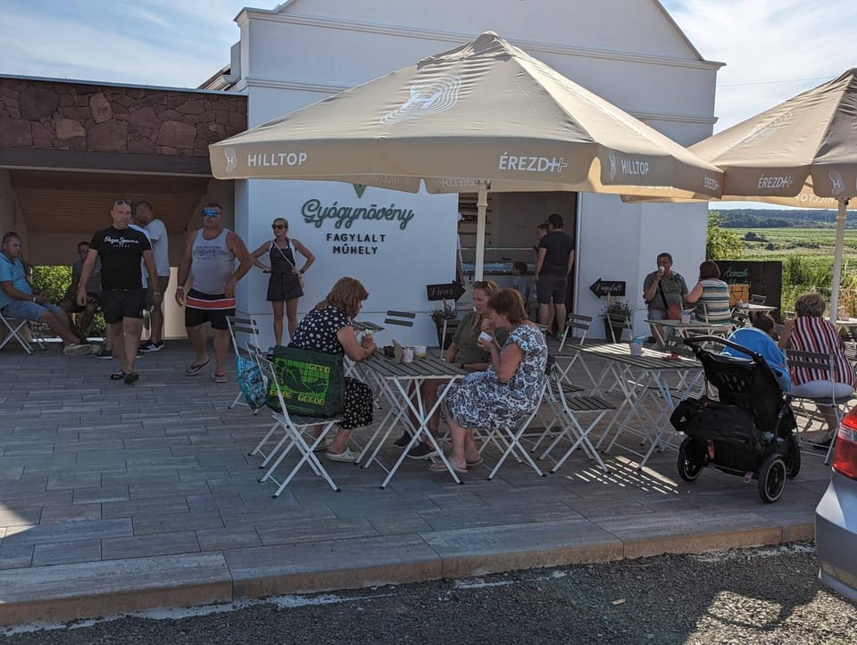Restaurant/places to eat, Day, People, Lounge or bar, Food and drinks